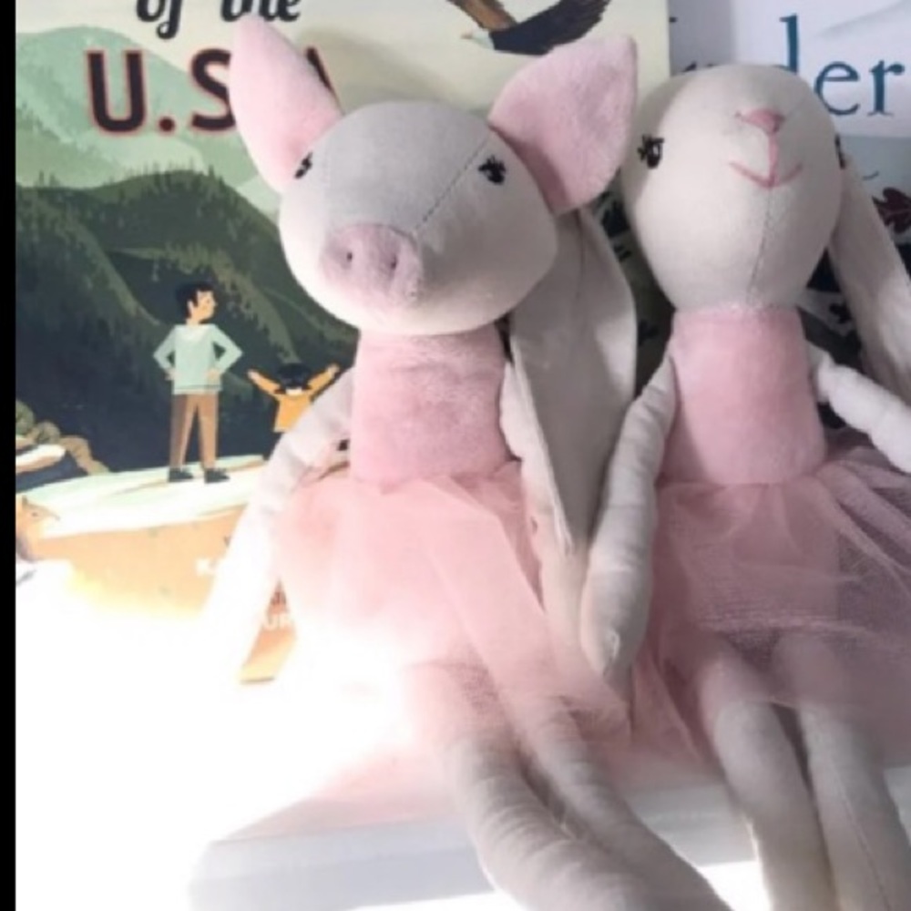 PIG Ballerina Doll